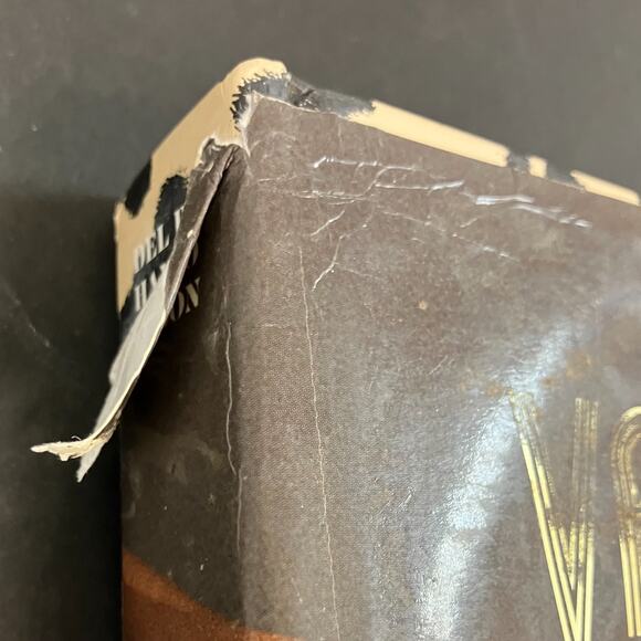 Vanessa Del Rio "50 Years of Slightly Slutty Behavior" Photo Book AAA3610 - Picture 16 of 16